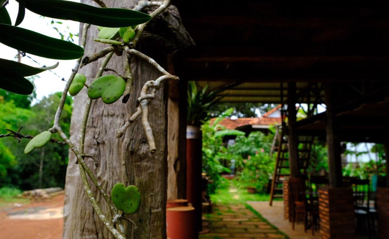 Plei Homestay & Café Pleiku Luaran gambar