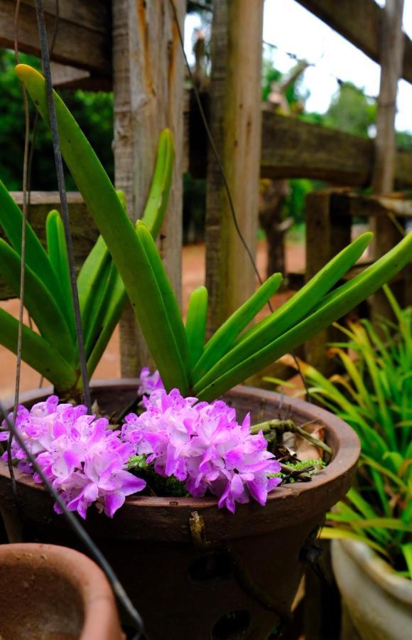 Plei Homestay & Café Pleiku Luaran gambar